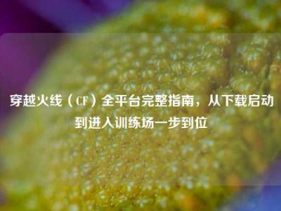 穿越火线（CF）全平台完整指南，从下载启动到进入训练场一步到位