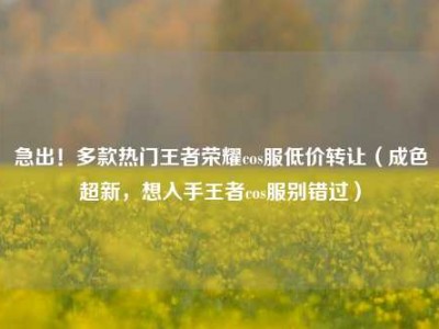 急出！多款热门王者荣耀cos服低价转让（成色超新，想入手王者cos服别错过）