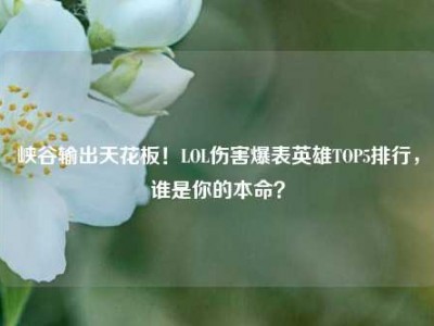 峡谷输出天花板！LOL伤害爆表英雄TOP5排行，谁是你的本命？