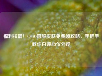 福利拉满！CSGO国服皮肤免费领攻略，手把手教你白嫖心仪外观