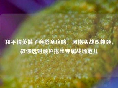 和平精英裤子穿搭全攻略，风格实战双兼顾，教你选对颜色搭出专属战场范儿
