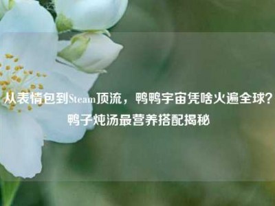 从表情包到Steam顶流，鸭鸭宇宙凭啥火遍全球？鸭子炖汤最营养搭配揭秘