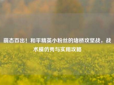 萌态百出！和平精英小粉丝的堵桥攻坚战，战术模仿秀与实用攻略