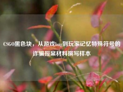 CSGO黑色块，从游戏bug到玩家记忆特殊符号的诈骗报案材料撰写样本