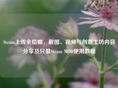 Steam上传全指南，截图、视频与创意工坊内容分享及只狼Steam MOD使用教程
