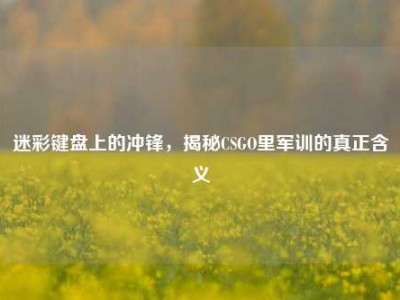 迷彩键盘上的冲锋，揭秘CSGO里军训的真正含义