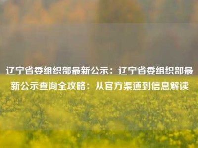 辽宁省委组织部最新公示：辽宁省委组织部最新公示查询全攻略：从官方渠道到信息解读