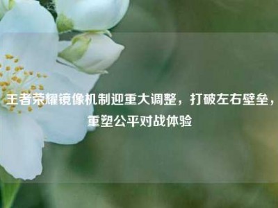 王者荣耀镜像机制迎重大调整，打破左右壁垒，重塑公平对战体验