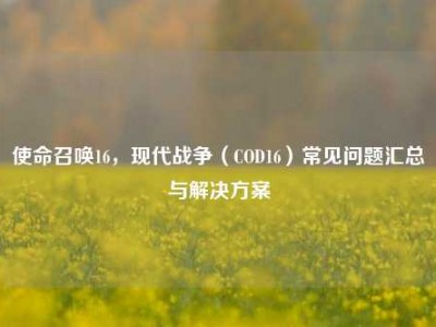 使命召唤16，现代战争（COD16）常见问题汇总与解决方案