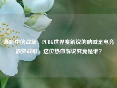 嘶吼中的战场，PUBG世界赛解说的呐喊是电竞最燃战歌，这位热血解说究竟是谁？