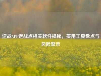 逆战APP逆战点相关软件揭秘，实用工具盘点与风险警示