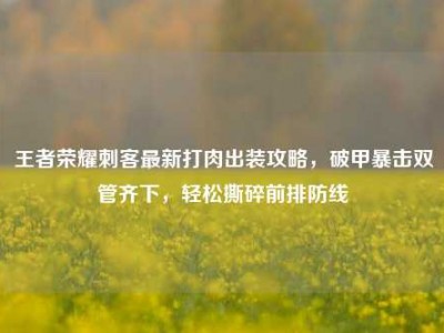 王者荣耀刺客最新打肉出装攻略，破甲暴击双管齐下，轻松撕碎前排防线