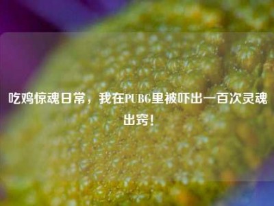 吃鸡惊魂日常，我在PUBG里被吓出一百次灵魂出窍！