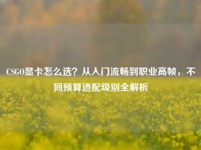 CSGO显卡怎么选？从入门流畅到职业高帧，不同预算适配级别全解析