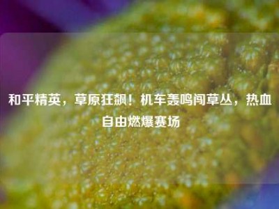 和平精英，草原狂飙！机车轰鸣闯草丛，热血自由燃爆赛场