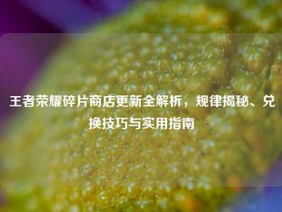 王者荣耀碎片商店更新全解析，规律揭秘、兑换技巧与实用指南
