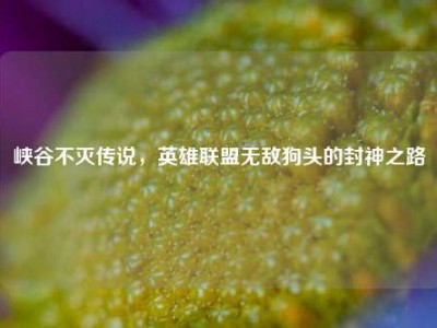 峡谷不灭传说，英雄联盟无敌狗头的封神之路