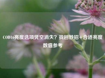 COD16亮度选项凭空消失？找回妙招+合适亮度数值参考
