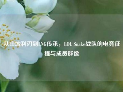 从山城利刃到LNG传承，LOL Snake战队的电竞征程与成员群像
