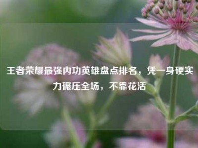王者荣耀最强内功英雄盘点排名，凭一身硬实力碾压全场，不靠花活