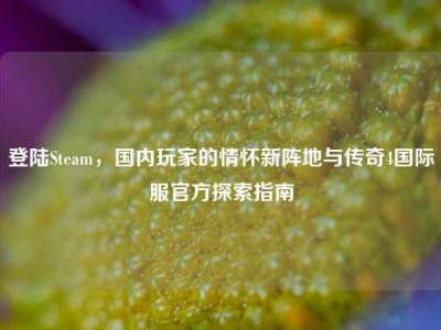登陆Steam，国内玩家的情怀新阵地与传奇4国际服官方探索指南