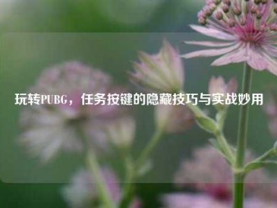 玩转PUBG，任务按键的隐藏技巧与实战妙用