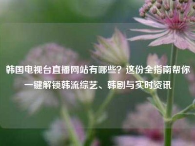 韩国电视台直播网站有哪些？这份全指南帮你一键解锁韩流综艺、韩剧与实时资讯