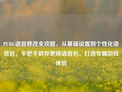 PUBG语音修改全攻略，从基础设置到个性化语音包，手把手教你更换语音包、打造专属游戏体验
