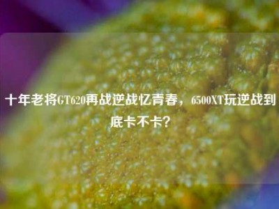 十年老将GT620再战逆战忆青春，6500XT玩逆战到底卡不卡？