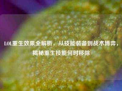 LOL重生效果全解析，从技能装备到战术博弈，揭秘重生技能何时移除