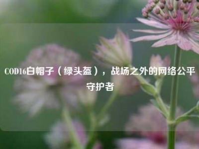 COD16白帽子（绿头盔），战场之外的网络公平守护者