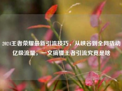 2024王者荣耀最新引流技巧，从峡谷到全网撬动亿级流量，一文搞懂王者引流究竟是啥