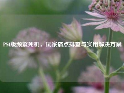 PS4版频繁死机，玩家痛点排查与实用解决方案