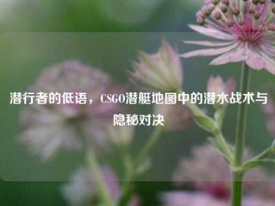 潜行者的低语，CSGO潜艇地图中的潜水战术与隐秘对决