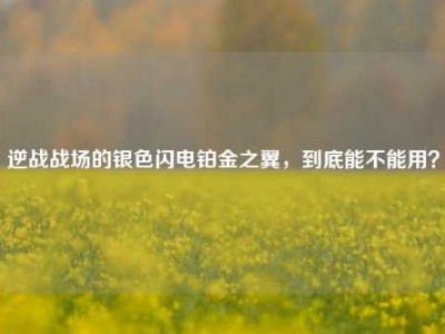 逆战战场的银色闪电铂金之翼，到底能不能用？