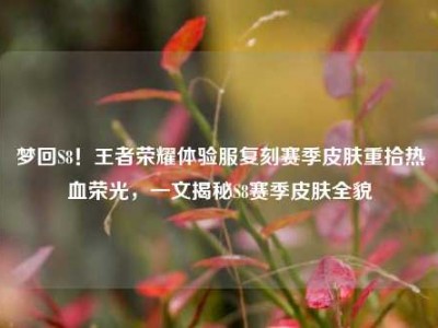 梦回S8！王者荣耀体验服复刻赛季皮肤重拾热血荣光，一文揭秘S8赛季皮肤全貌