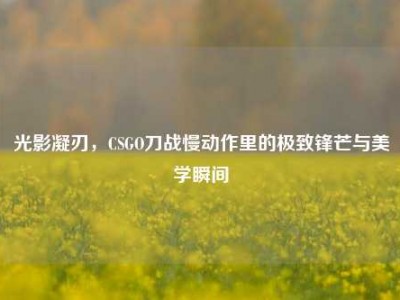 光影凝刃，CSGO刀战慢动作里的极致锋芒与美学瞬间