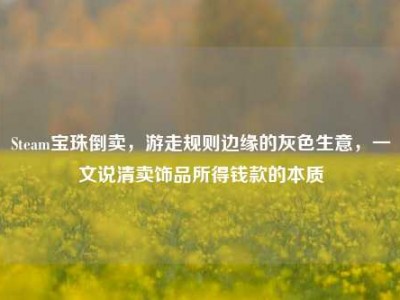 Steam宝珠倒卖，游走规则边缘的灰色生意，一文说清卖饰品所得钱款的本质