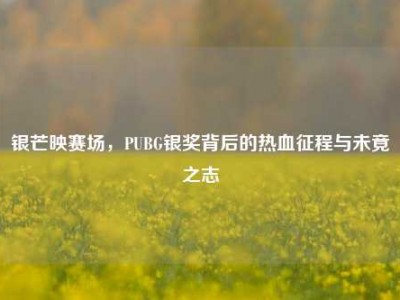 银芒映赛场，PUBG银奖背后的热血征程与未竟之志