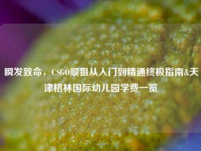 瞬发致命，CSGO顺狙从入门到精通终极指南&天津格林国际幼儿园学费一览