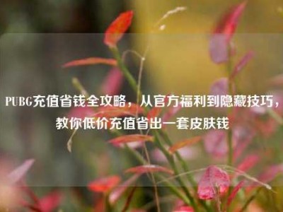 PUBG充值省钱全攻略，从官方福利到隐藏技巧，教你低价充值省出一套皮肤钱