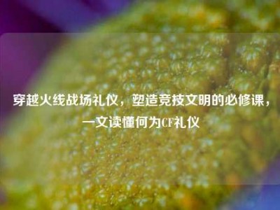 穿越火线战场礼仪，塑造竞技文明的必修课，一文读懂何为CF礼仪
