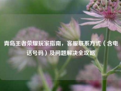 青岛王者荣耀玩家指南，客服联系方式（含电话号码）及问题解决全攻略