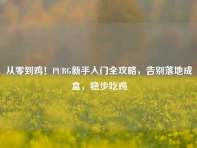 从零到鸡！PUBG新手入门全攻略，告别落地成盒，稳步吃鸡