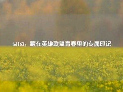 lol163，藏在英雄联盟青春里的专属印记