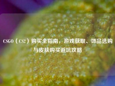 CSGO（CS2）购买全指南，游戏获取、饰品选购与皮肤购买避坑攻略