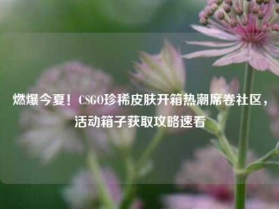 燃爆今夏！CSGO珍稀皮肤开箱热潮席卷社区，活动箱子获取攻略速看