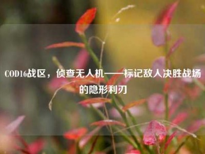 COD16战区，侦查无人机——标记敌人决胜战场的隐形利刃