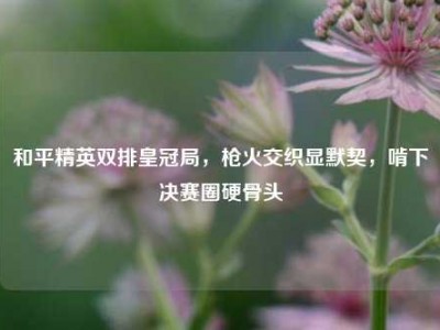 和平精英双排皇冠局，枪火交织显默契，啃下决赛圈硬骨头
