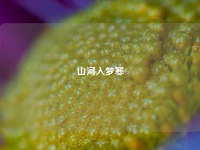 山河入梦寒